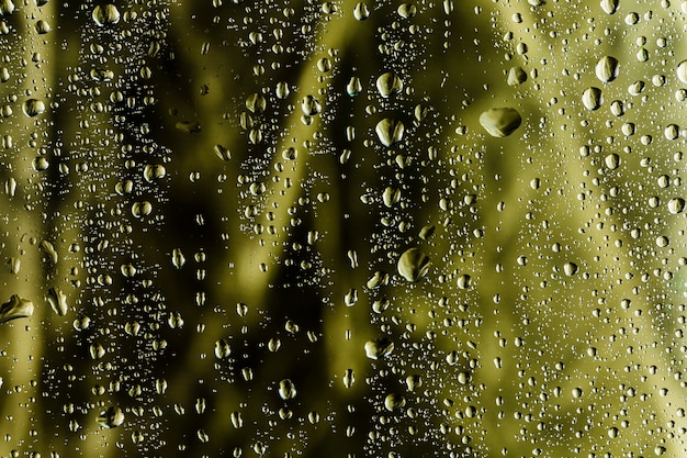 Gotas de agua sobre fondo borroso