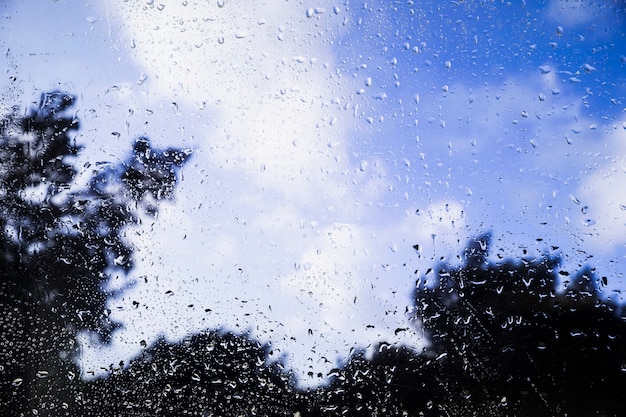 Gotas de agua sobre fondo de naturaleza