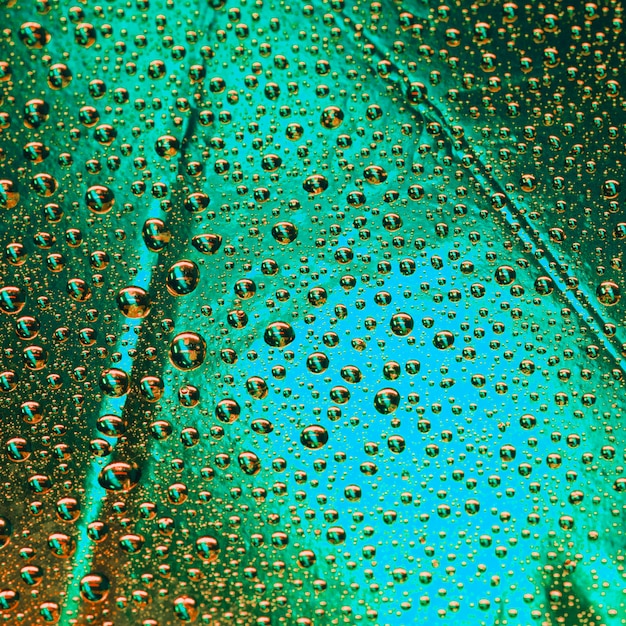 Gotas de agua transparentes en la superficie texturizada verde