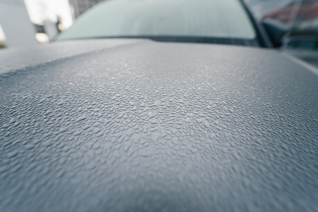 Foto gratuita gotas de lluvia en el capó del coche. de cerca.