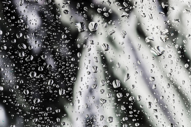 Gotas de lluvia sobre fondo blanco y negro