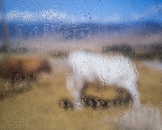 Gotas de lluvia en ventana