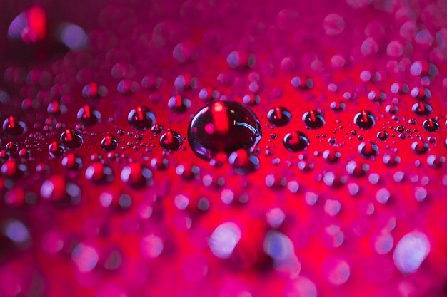 Gotitas de agua transparente texturadas en superficie rojo oscuro.
