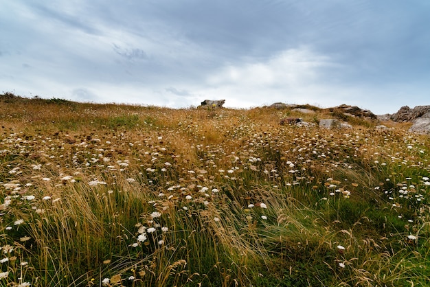 Foto gratuita gouffre, bretaña, francia