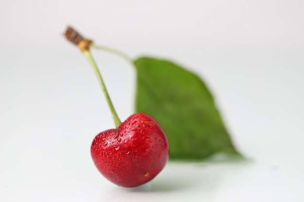 Gran cereza en el fondo blanco