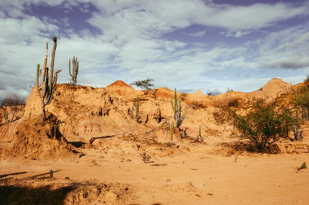 Gran montaña rocosa en el desierto