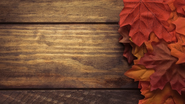 Foto gratuita gran otoño composición de hojas de arce