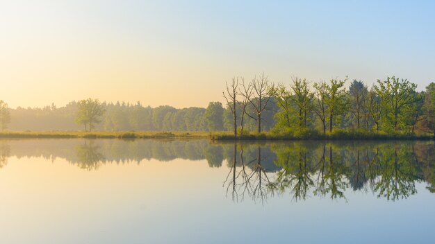 Gran tiro de agua que refleja los árboles de hojas verdes en la orilla bajo un cielo azul