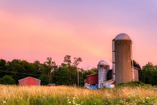 Foto gratuita gran tiro de silos de hormigón y graneros en un campo de hierba rodeado de árboles