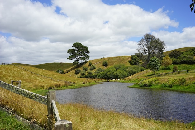 Gran toma de la película Hobbiton ambientada en Matamata, Nueva Zelanda