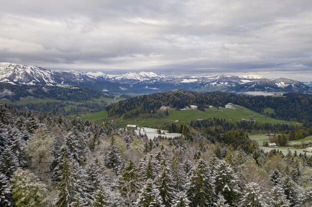 Gran vista de colinas y abetos cubiertos de nieve