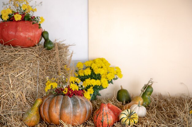 Grandes calabazas entre paja y flores, estilo rústico, cosecha de otoño, espacio de copia.