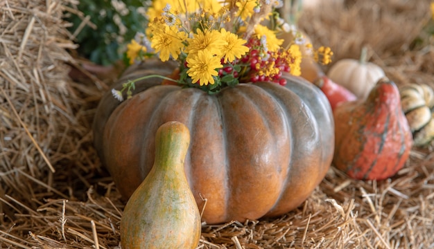 Grandes calabazas entre paja y flores, estilo rústico, cosecha de otoño.