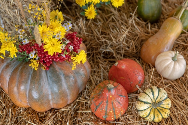 Grandes calabazas entre paja y flores, estilo rústico, cosecha de otoño.