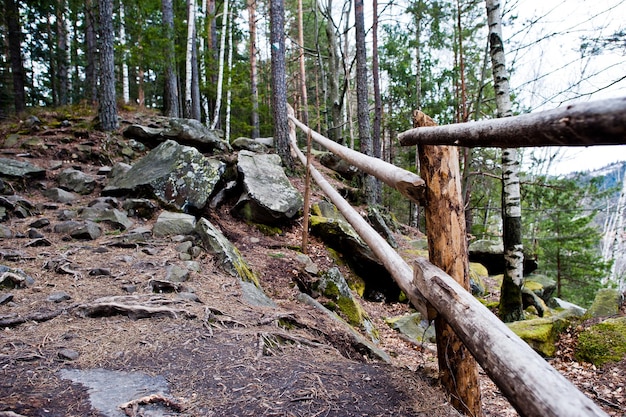Grandes piedras de rocas con cerca de madera en el bosque húmedo en las montañas de los Cárpatos