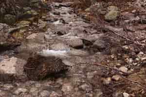 Foto gratuita grandes rocas se encuentran en el río en algún lugar de las montañas