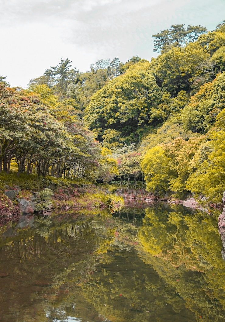 Foto gratuito granja deja al aire libre del grano corea