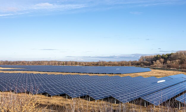 Granja eléctrica con paneles para producir energía ecológica limpia