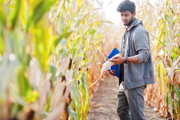 Granjero agrónomo del sur de Asia inspeccionando la granja de campo de maíz Concepto de producción agrícola