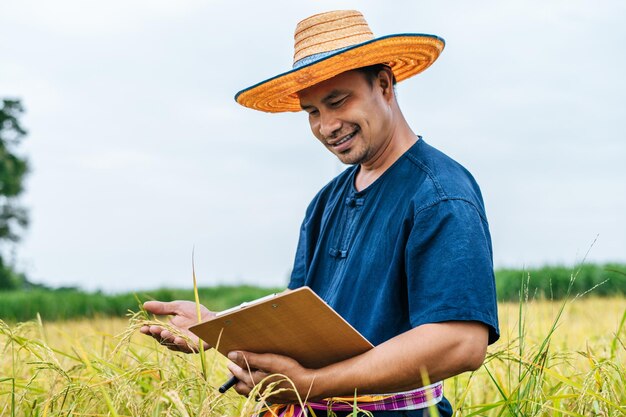 Granjero asiático de mediana edad hombre vestido con sombrero de paja escribir en el portapapeles en el campo de arroz con una sonrisa durante la conservación de datos