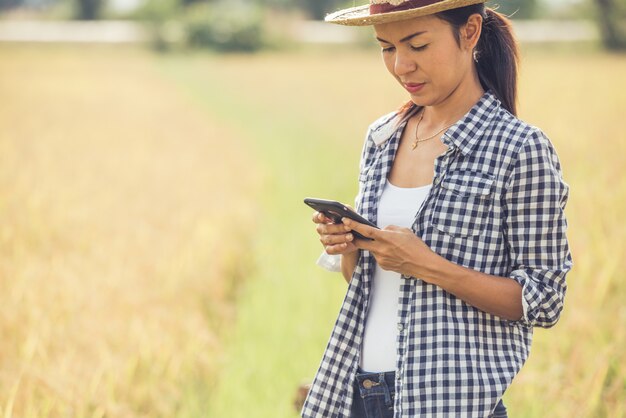 Granjero en campo de arroz con smartphone