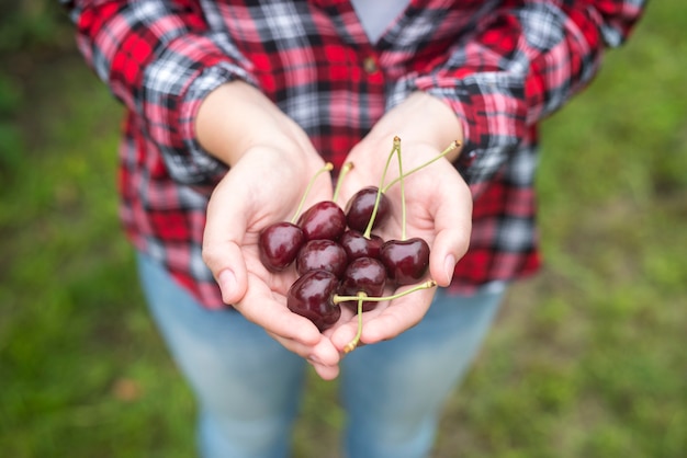 Granjero con cereza en sus manos en huerto