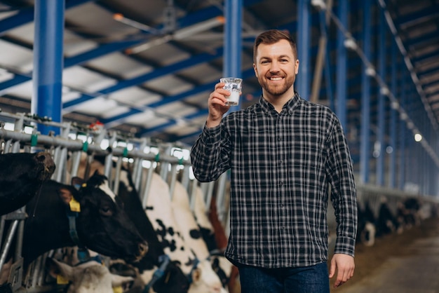 Granjero de hombre en el establo bebiendo leche