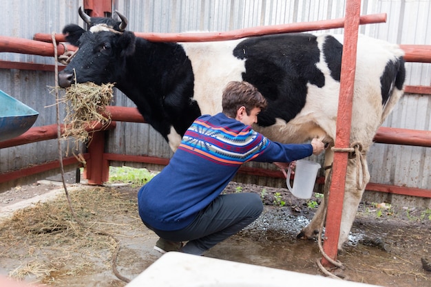 Foto gratuita granjero joven trabajando en la granja orgánica con una vaca lechera