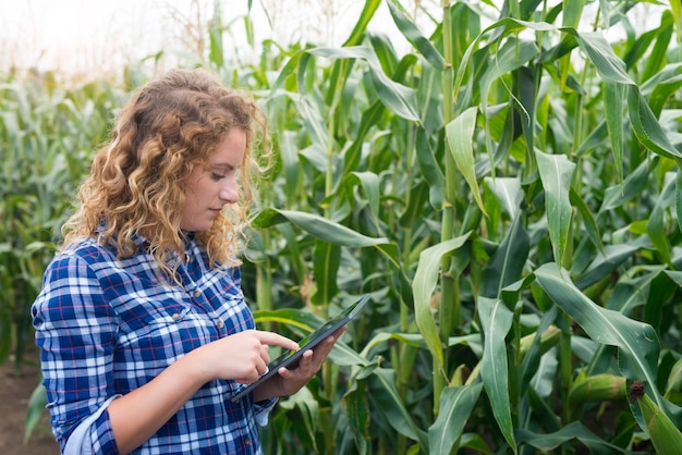 Foto gratuita granjero de niña con tableta de pie en el campo de maíz usando internet y enviando un informe