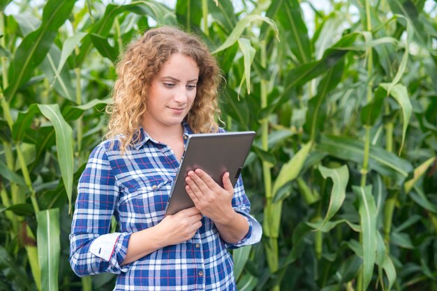 Granjero de niña con tableta de pie en el campo de maíz usando internet y enviando un informe