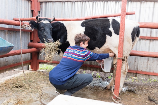 Granjero ordeñando a una vaca