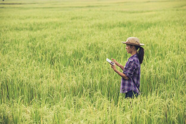 Granjero de pie en un campo de arroz con una tableta.