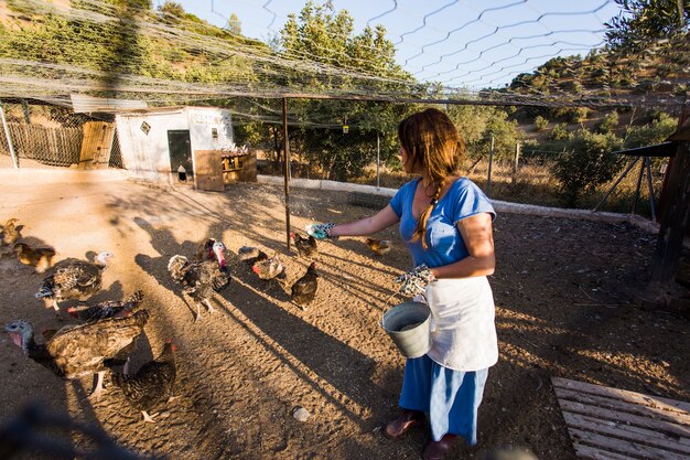 Granjero de sexo femenino que alimenta pollos en la granja