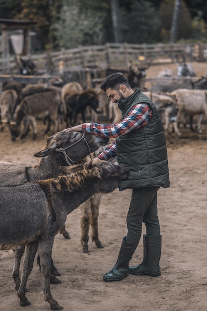 Foto gratuita un granjero con sus animales en el marco.