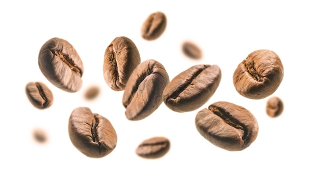 Los granos de café levitan sobre un fondo blanco.