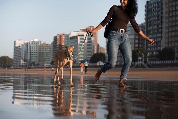 Greyhound divirtiéndose en la playa