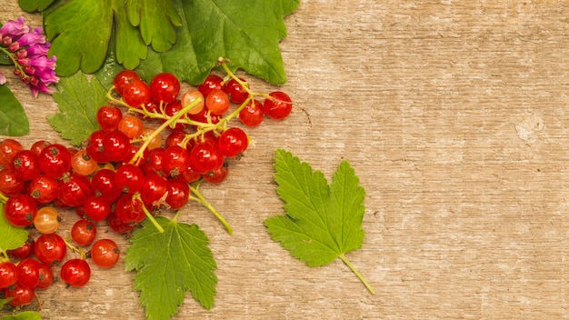 Grosella roja con hojas en el escritorio de madera