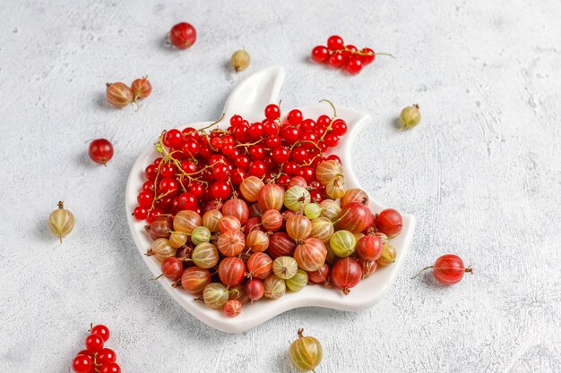 Grosellas dulces orgánicas frescas y grosellas rojas en tazones