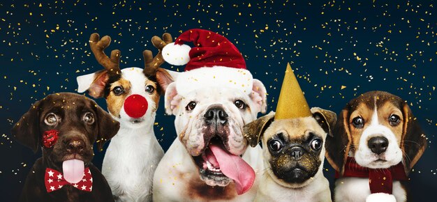 Grupo de cachorros con disfraces de Navidad