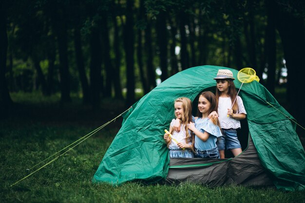 Grupo de chicas acampando en el bosque