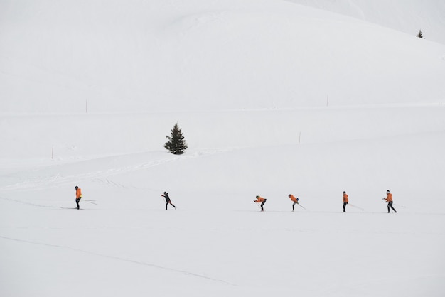 Foto gratuita grupo de formación de esquiadores de fondo en una estación de esquí