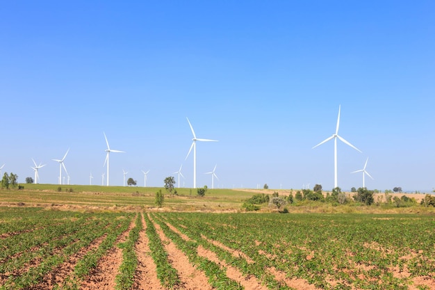 Grupo de generador de energía de turbina eólica