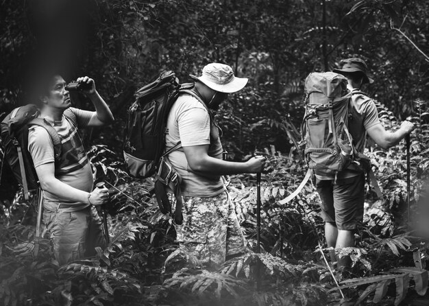 Grupo de hombres diversos trekking en el bosque juntos