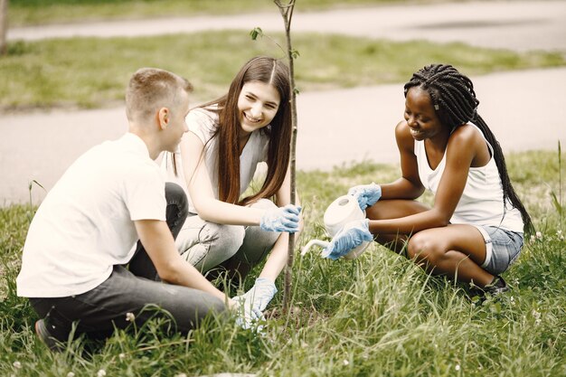 Grupo de jóvenes voluntarios en el parque. Están plantando una plántula de árbol.