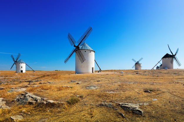 Grupo de molinos de viento