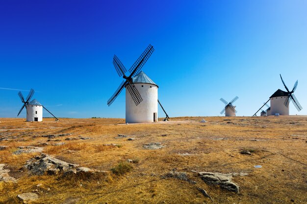 Grupo de molinos de viento