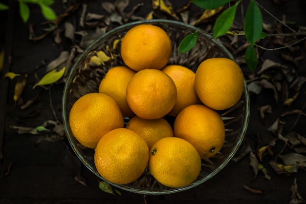 Grupo de naranjas recién recogidas y seccionadas en una cesta.