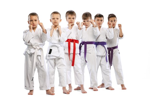 Grupo de niños deportistas de artes marciales posando en kimono aislado sobre fondo blanco de estudio