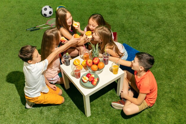 El grupo de niños y niñas adolescentes sentados sobre la hierba verde en el parque