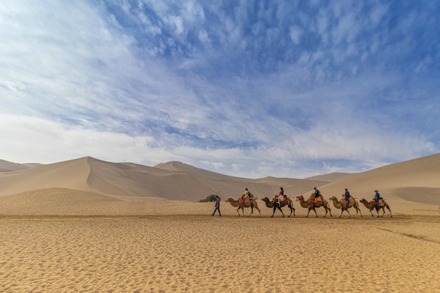 Grupo de personas en camellos en el desierto